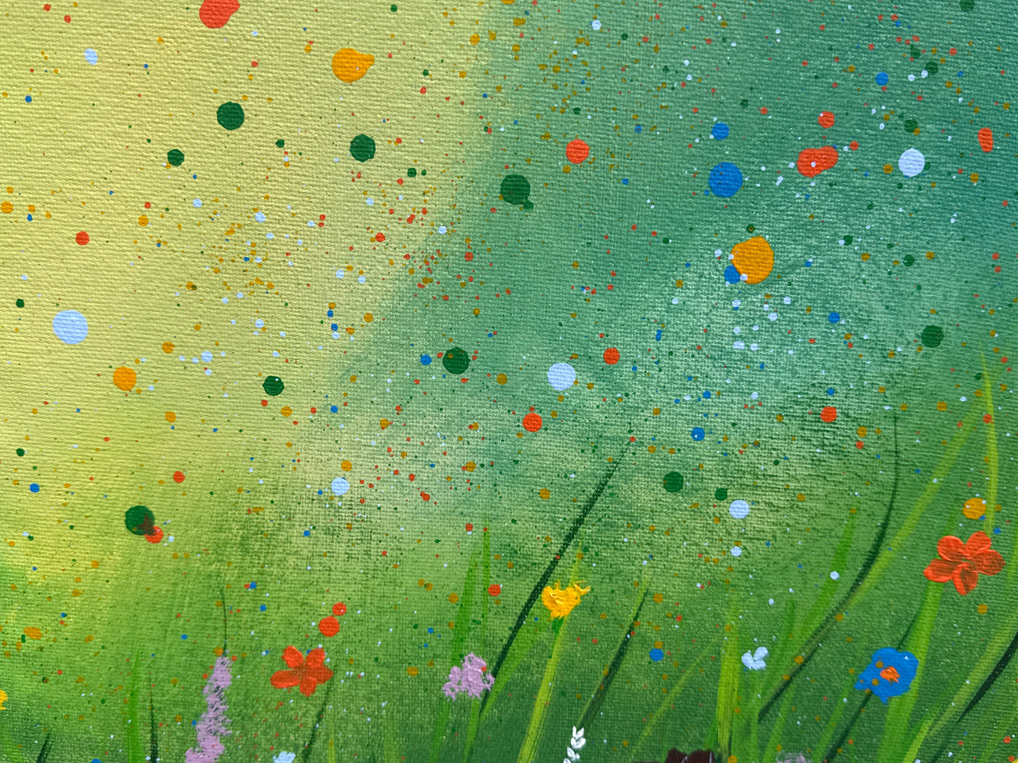 Fleurs Sauvages