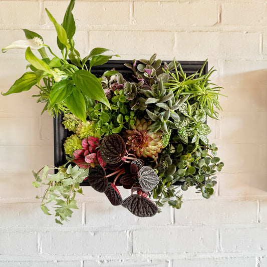 Tableau végétal .05