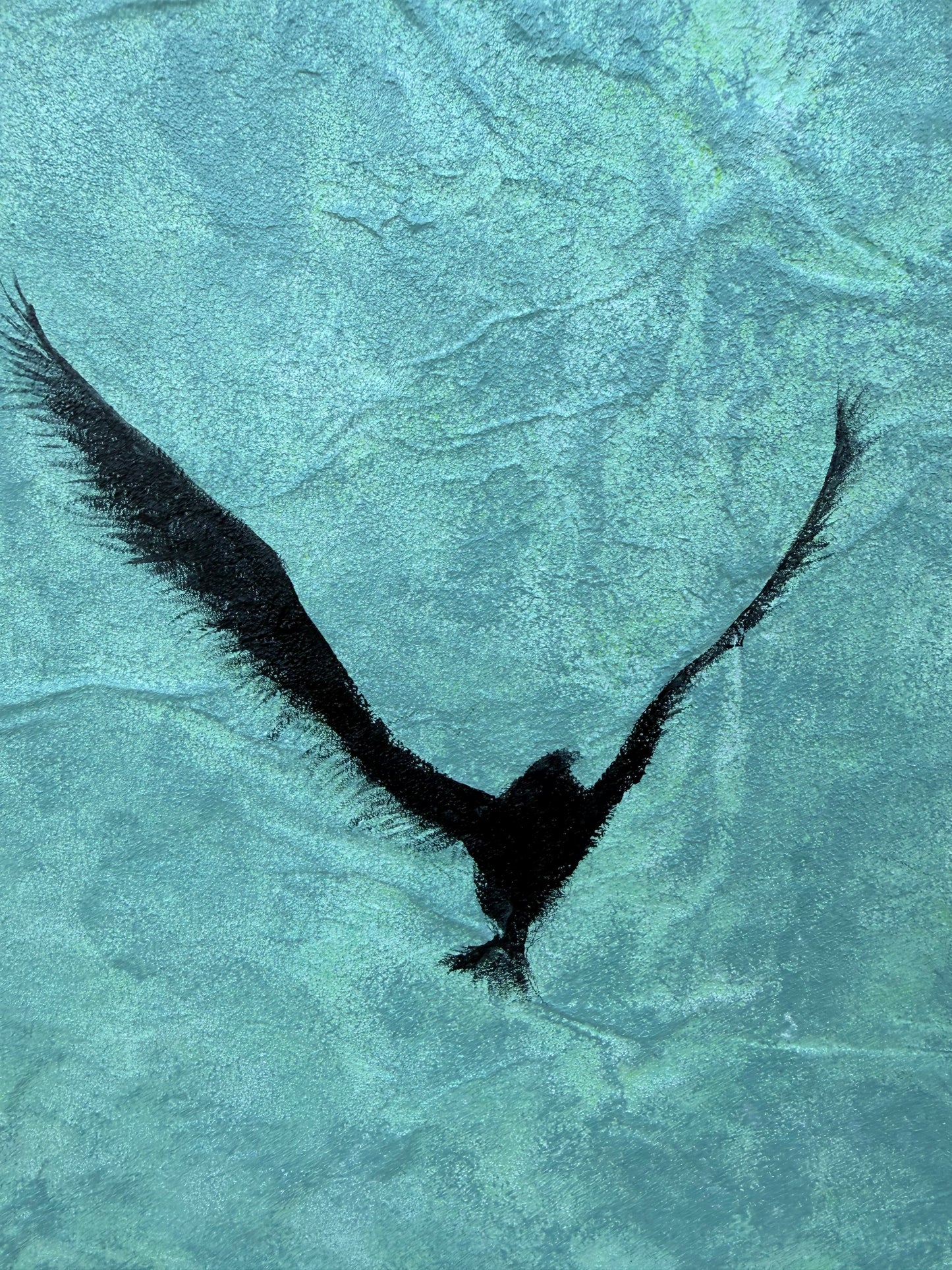 L’envol