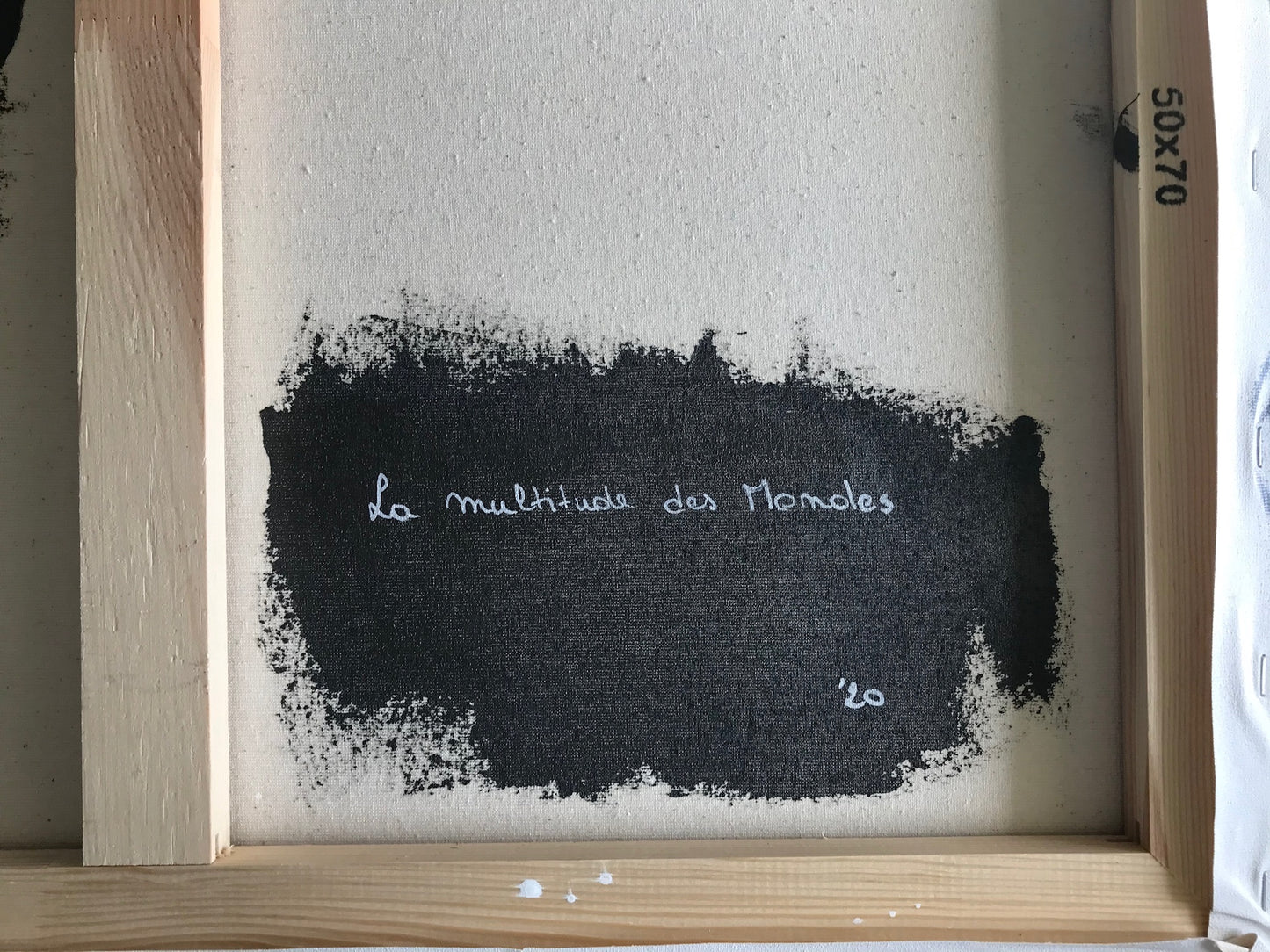 La multitude des mondes